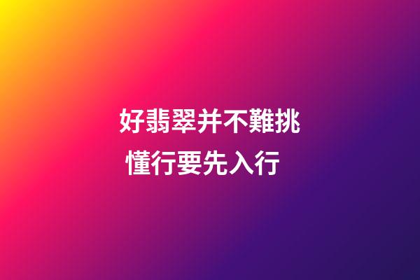 好翡翠并不難挑 懂行要先入行